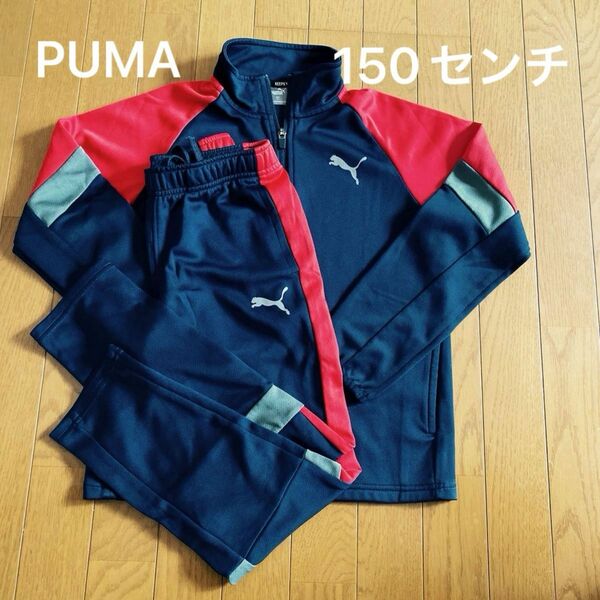 PUMA ジャージ 上下150センチ