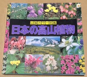 日本の高山植物　 山渓カラー名鑑