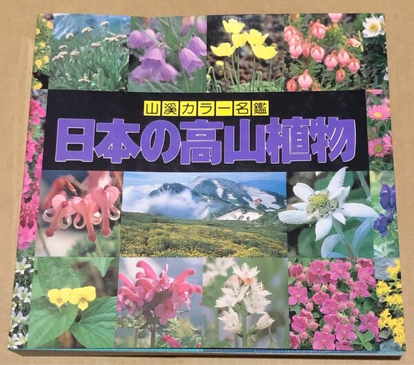 日本の高山植物　 山渓カラー名鑑