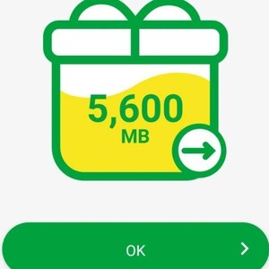 【迅速対応！】約5.6GB 5600MB mineo マイネオ パケット 匿名安心迅速t6g# 