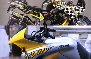 TDM850 TRX850 記事掲載 雑誌　諸元表 大型デュアルパーパスの変遷 TROLL TRXカスタム 8ページ