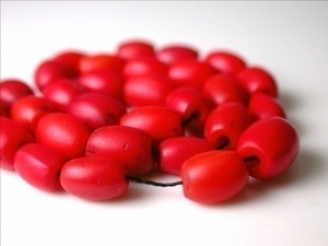 ◆美赤小粒シェルパコーラル30粒◆ヒマラヤナガ族山珊瑚とんぼ玉アンティークトレードビーズ