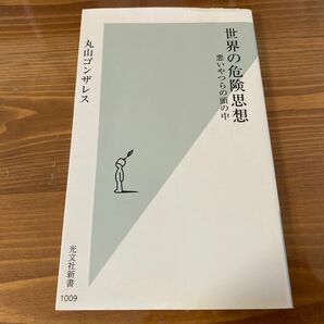 世界の危険思想 丸山ゴンザレス 若いやつらの頭の中