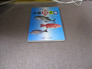 E 島言語(シマクトゥバ)でわかる沖縄魚図鑑2002/1/1 悦 秀満