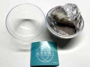 カプリウムコレクション海洋生物2 ゴマアザラシ クオリア ガチャ 未使用品