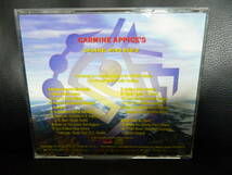 (11)　 CHRMINE APPICE'S CHANNEL　MIND RADIO FUITAR ZEUS Ⅱ　　日本盤　　ジャケ、日本語解説 経年汚れあり_画像3