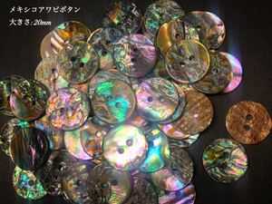 * free shipping * Mexico abalone . button (#100 type ) 20mm 10 piece set *