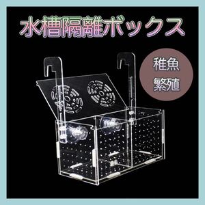 【送料無料】 ★新品★ 水槽 魚 繁殖 隔離ボックス 孵化 産卵箱 魚の隔離 透明 アクリル