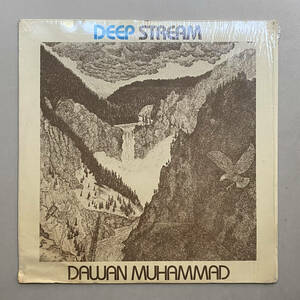 アーティスト: Dawan Muhammad タイトル : Deep Stream レーベル : Evidence Artistic（US オリジナル）