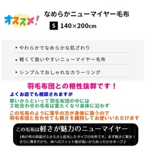 ☆新品・全国送料無料☆優しい肌触りシルキータッチ毛布！昨年の残り品に付き超激安！静電気のパチパチを防ぐエレセーブレッドのみシングル_画像9