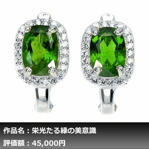 【1円新品】イケゾエガレ｜3.00ct 天然クロムディオプサイト ダイヤモンド K14WG仕上ピアス｜作家モノ｜本物保証｜NGL鑑別対応