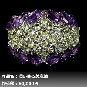 【1円新品】イケゾエガレ｜5.50ct 天然アメジスト&ペリドット K14WG仕上リング 15号｜作家モノ｜本物保証｜NGL鑑別対応