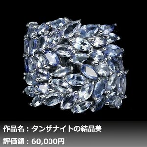 【1円新品】イケゾエガレ｜5.00ct 天然タンザナイト K14WG仕上リング 17号｜作家モノ｜本物保証｜NGL鑑別対応