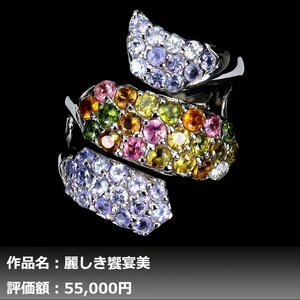 【1円新品】イケゾエガレ｜4.50ct 天然トルマリン&タンザナイト K14WG仕上リング 14号｜作家モノ｜本物保証｜NGL鑑別対応