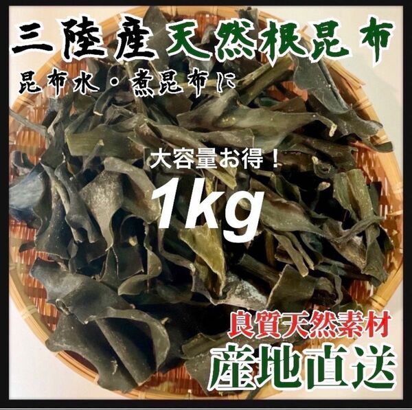 【岩手県産・産地直送】天然根昆布　1kg　乾燥昆布　おしゃぶり昆布　乾物　最高級出汁取り　煮物にも最適 昆布 珍味 袋 国産 黒