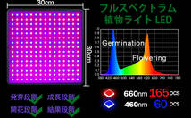 【新品】GREENSINDOOR 植物育成ライト 400W相当 LEDランプ 育成用ライト パネルライト フルスペクトル フルスペクトラム パープル_画像7