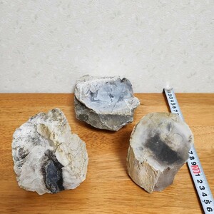 木の化石 木化石 珪化木 セット② 訳あり 国産 鉱物 発掘品 年輪 丸太 盆石 水槽 アクアリウ厶 化石 盆石 鑑賞 天然 石 パワーストーン