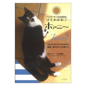 アルゼンチンのお茶目なはちわれねこホァニー 猫族一番のはにかみ屋さん ハンナ