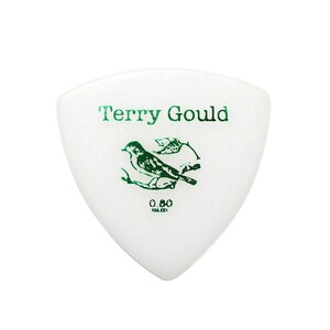 ギターピック 10枚 セット ピックボーイ 0.80mm GP-TG-R/08 Terry Gould PICKBOY