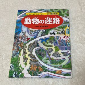 動物の迷路　ウサギ、コアラ、ライオン……２５０種大集合！ 香川元太郎／作・絵　成島悦雄／監修