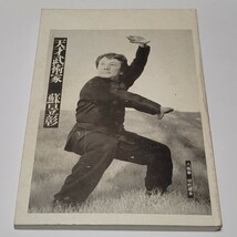 《洋書》PACHI TANG LANG CHUEN / DR.SU YU-CHANG 蘇立彰 八極拳 中国武術 拳法 / 1991年_画像8