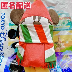 TDR ディズニー クリスマス リルリンリン ブランケット 毛布