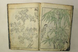 「絵本 草花」1冊｜虫 絵本 絵画 画譜 画集 日本画 絵入り 木版画 江戸時代 古書 和本 古典籍 p109