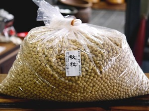 【おたまや】令和５年産 新物 味噌用大豆 秋粒（シュウリュウ大豆）７kg
