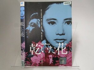 【レンタル落ち】DVD 映画 乾いた花 池部良 加賀まりこ 藤木孝 杉浦直樹 竹脇無我【ケースなし】