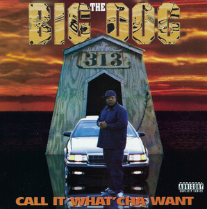 【G-RAP】THE BIG DOG / Call It What'cha Want １９９５ Detroit, MI【GANGSTA RAP】RAINBOプレス 1st オリジナル盤
