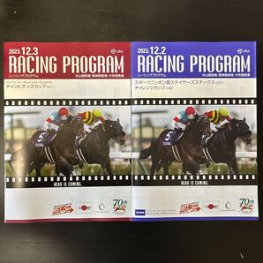 レーシングプログラム