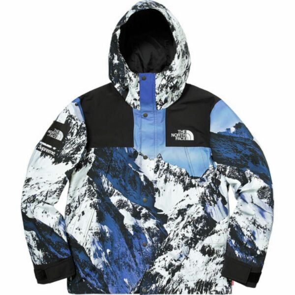 M 国内正規品 17AW Supreme The North Face Mountain Parka