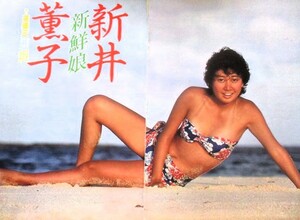 ♪新井薫子切り抜き25枚！早見優川田あつ子渡辺めぐみ坂上とし恵松田聖子堀ちえみ岩崎良美白石まるみ松本伊代伊藤つかさ三田寛子小泉今日子