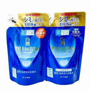 【2個セット】ロート製薬 肌ラボ 白潤プレミアム薬用浸透美白化粧水・化粧水しっとり つめかえ用 170ml×2