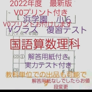 浜学園　小６　2022年度　解答用紙付き　Vクラス　復習テスト　国語算数理科　セット　未記入　１年分