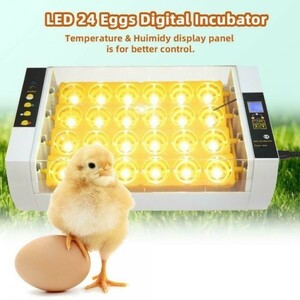 新品 自動孵卵器 インキュベーター LED液晶 24枚 鶏 にわとり ウズラ あひる 鴨 大容量 孵化器 鳥類全自動 デジタル温度制御装置 CFJQ003