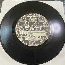 【EP付】Another Damned Seattle Compilation DBHG002-1 MT-149/HS57 カラー盤 レコード LP_画像9