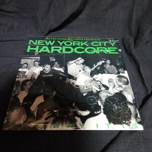 NEW YORK CITY HARDCORE ・ The Way It Is　LPレコード　ハードコア