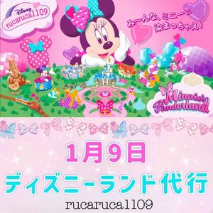 1月9日 ディズニーランド 代行 パルパルーザ ミニーのファンダーランド ミッキー ぬいぐるみ ぬいぐるみバッジ 代理購入