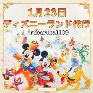 1月23日 ディズニーランド 代行 40周年 グランドフィナーレ ミッキー ミニー ポージープラッシー ガーランド ハモカラ 代理購入