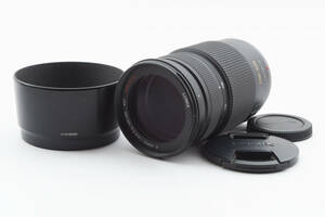 完動美品 Panasonic パナソニック LUMIX G VARIO 100-300mm/F4.0-5.6 MEGA O.I.S. H-FS100300