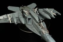 1/48 MENG MODEL EA-18G GROWLER VAQ-132 スコーピオンズ　モンモデル　完成品　グラウラー_画像9