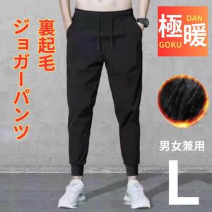 裏起毛ジョガーパンツスウェットパンツルームパンツ男女兼用 極暖L 裏シープストレッチパンツ レギンス ボア 裏起毛 極暖 スキニー XL