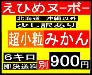 ff えひめヌーボー　超小粒みかん　6キロ