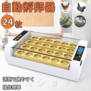 24 sheets small size automatic . egg vessel egg in kyu Beta - automatic rotation egg type temperature humidity digital display alarm easily service energy conservation . egg vessel chicken ... birds 