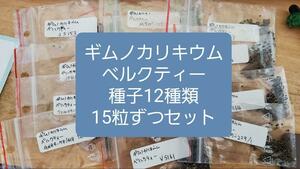 ギムノカリキウム　ベルクティー　種子１２種類　１５粒ずつセット