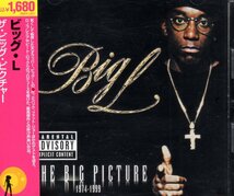 THE BIG PICTURE 廃盤 国内盤 BIG L d.i.t.c lord finesse diamond d nas gang starr dj premier pete rock o.c. lifestylez ov da poor_画像1