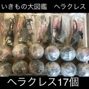 いきもの大図鑑　ヘラクレスオオカブト17個セット　まとめ売り　昆虫　生き物　フィギュア　ほぼセプテント