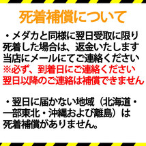 【メール便発送可】オオミジンコ（ダフニアマグナ） 培養用 種ミジンコ 生体50～100匹程度 金魚・めだか・熱帯魚等の生餌 エサ_画像8