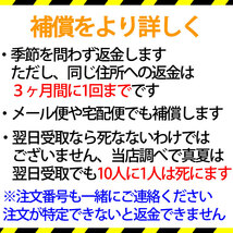 【メール便発送可】オオミジンコ（ダフニアマグナ） 培養用 種ミジンコ 生体50～100匹程度 金魚・めだか・熱帯魚等の生餌 エサ_画像9